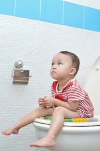 Potty Training a Toddler