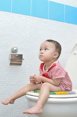 Potty Training a Toddler