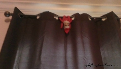 Rascal From My Toddlers View Hanging on the Curtain Rod