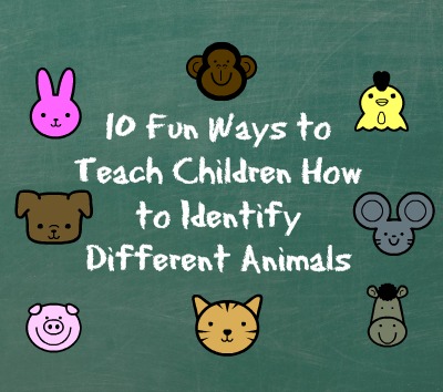 10 Fun Ways to Teach Children How to Identify Different Animals