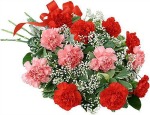 Carnations for Mothers Day