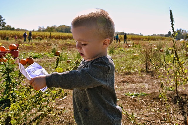 Six Educational (and fun) Outings for Pre-schoolers