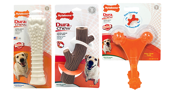 Top 5 Holiday Gifts for Your Dog #HolidayGiftGuide2014