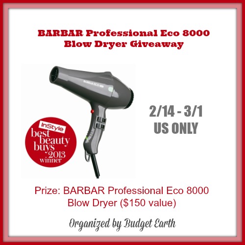 Enter to Win Barbar Professional Eco 8000 Blow Dryer Giveaway Ends 3/1