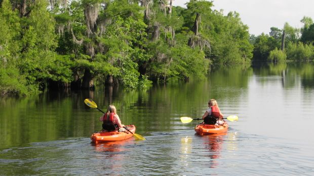 Kayak Through the Dead Lakes