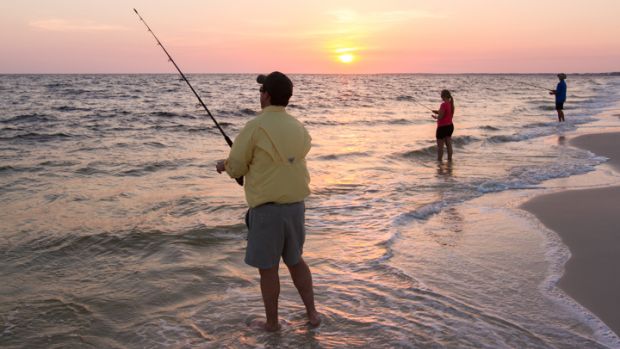 Visit a Different Beach a Day