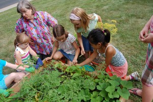 Garden Activities for the Children this Summer – Parenting Tips and ...