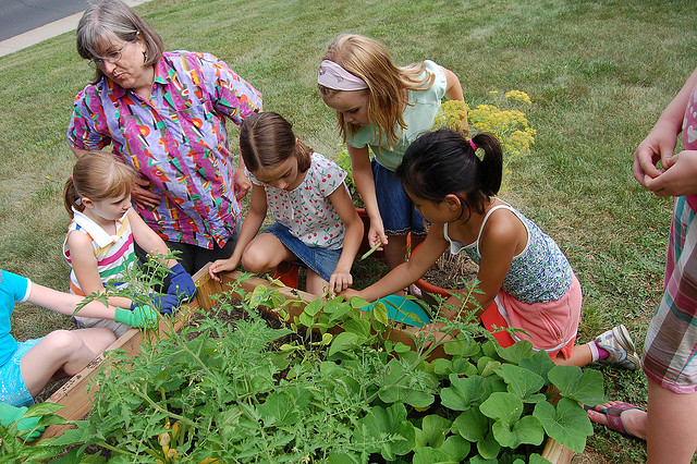 Garden Activities for the Children this Summer