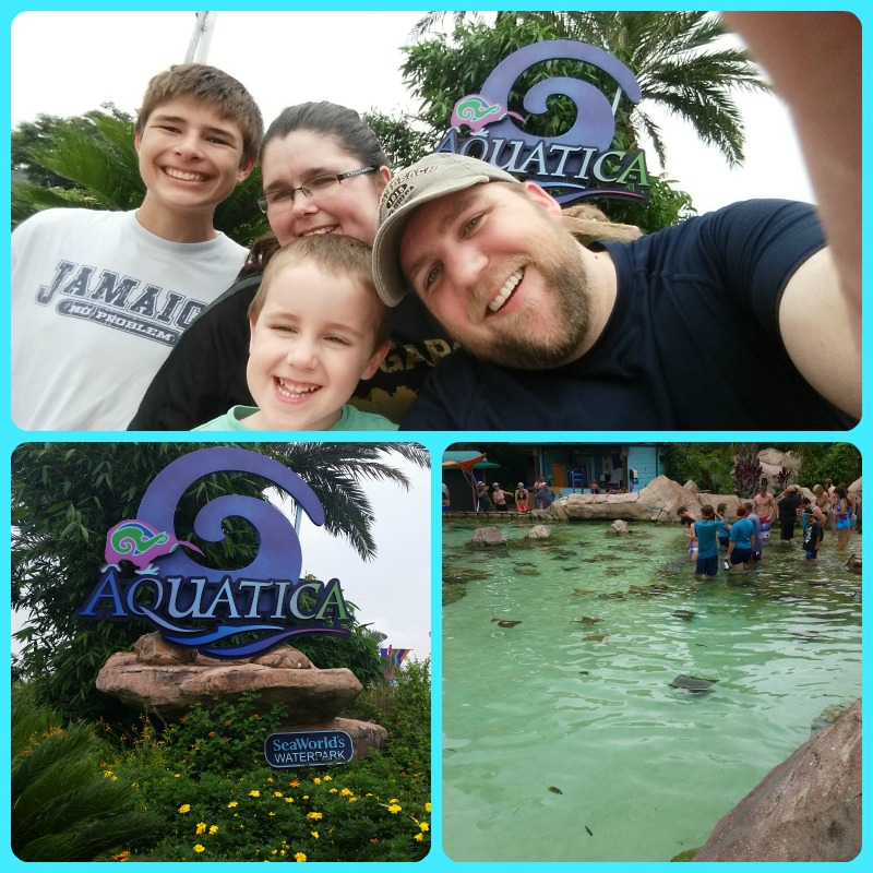 Aquatica at Sea World