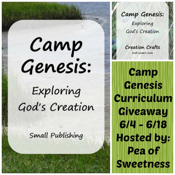 Enter to Win Camp Genesis Curriculum Giveaway Ends 6/18