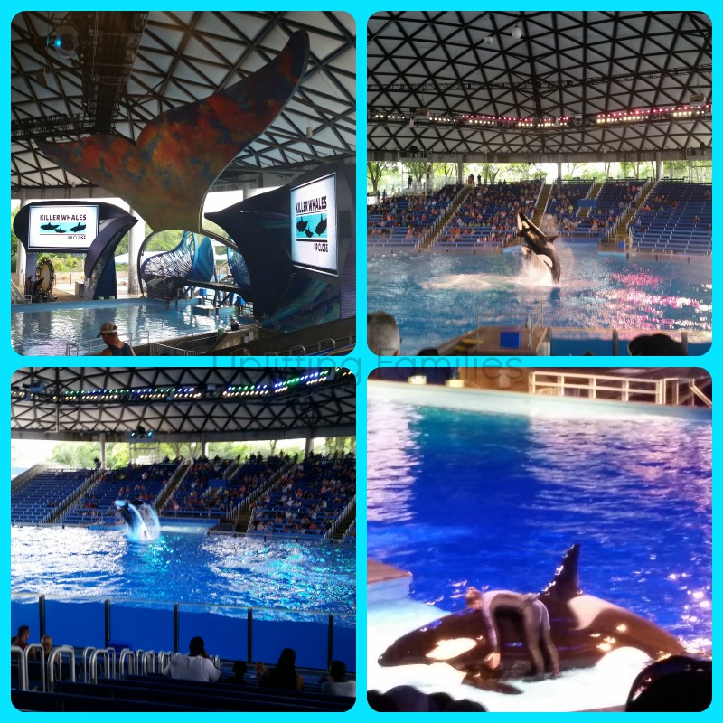 Sea World 2