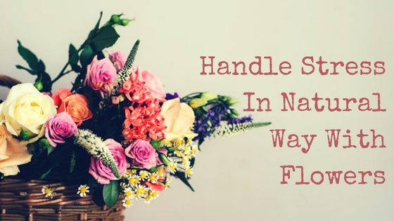 How Flowers Can Help You Handle Stress In Natural Way