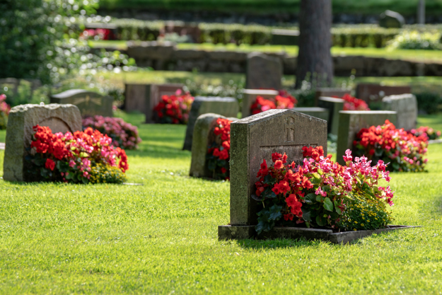 Rest in Peace: 13 Alternative Types of Burials for You to Consider