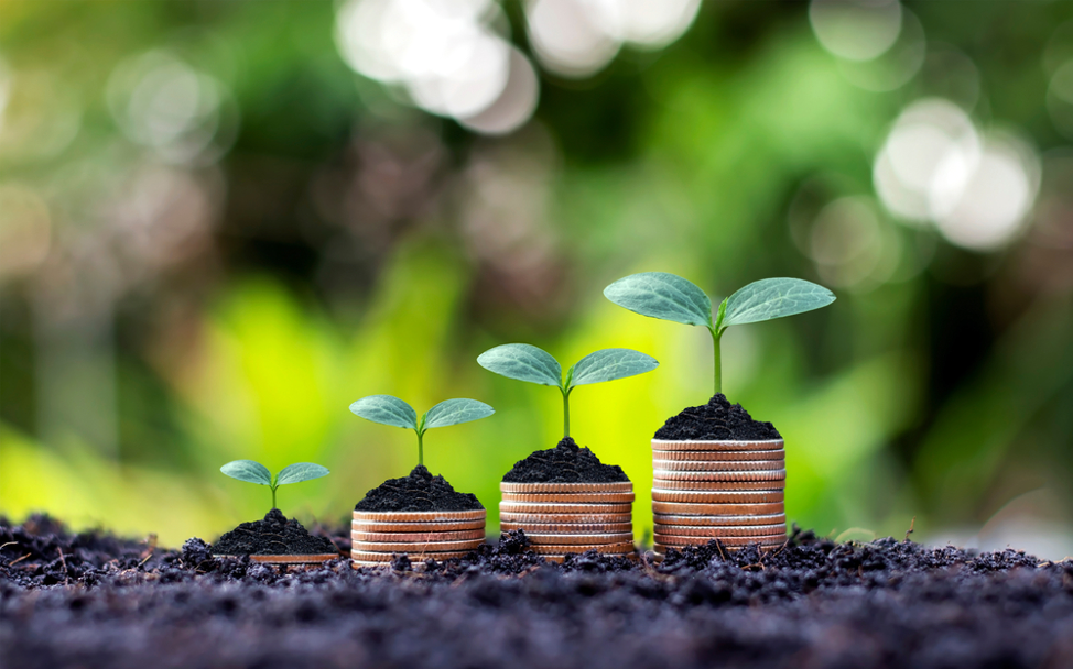 5 Tips to Grow Your Financial Investments